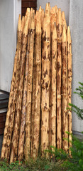 An einer Wand lehnende frisch angespitzte Holzpfähle