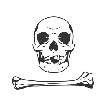 skull and bone illustration