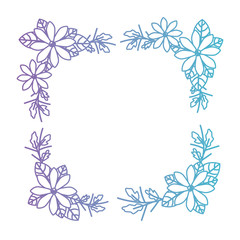 Fototapeta na wymiar beautiful flower and leafs square frame vector illustration design
