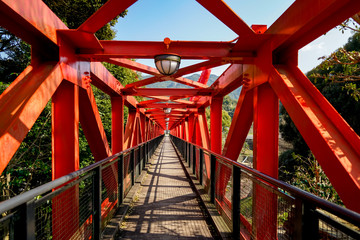 中尾城公園　桜