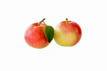 Two apple isolated on the white background.