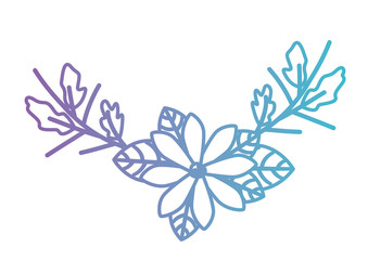 Fototapeta premium beautiful flower and leafs garden vector illustration design