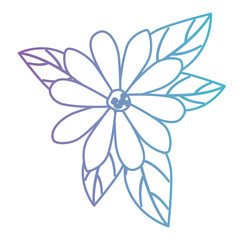 beautiful flower and leafs garden vector illustration design