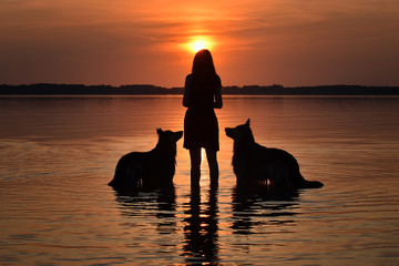 Dogs and girl watching sunset over a lake