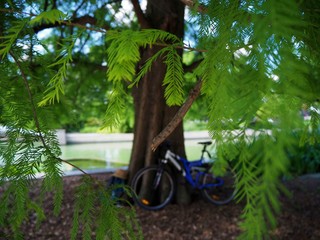 Bicycle leaning against a tree on a beautiful sunny summer day in a park with lush green branches...