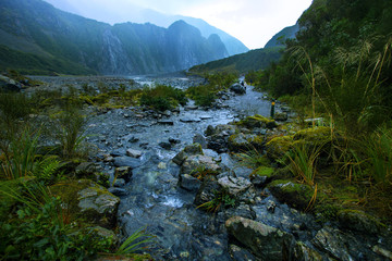 beautiful scenic of natural trail in fox glacier most popular traveling destination in southland new zealand