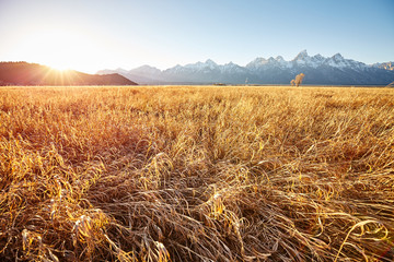 Golden sunrise at the Grand Teton National Park, Wyoming, USA.