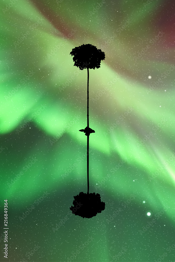 Poster landscape with lonely tree at night. vector illustration with isolated silhouette of maple reflected
