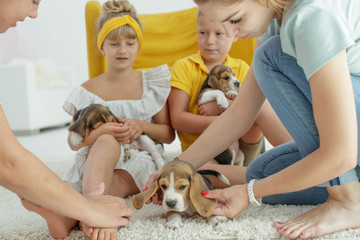 Children with a dog 