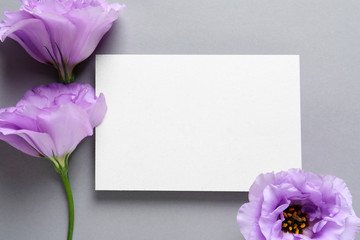 Beautiful Eustoma flowers and card on gray background
