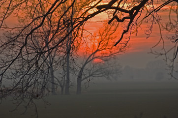 Fototapeta premium Lichtstimmung am Abend