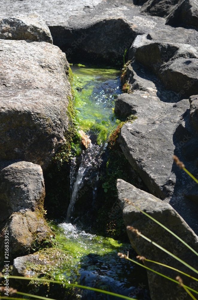 Poster macro stream river waterfall green stone