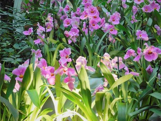 beauty in simplicity