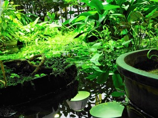 beauty in simplicity