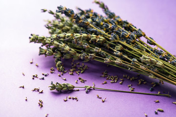 dry lavender on a lilac background, concept