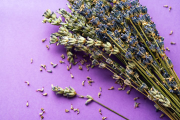 dry lavender on a lilac background, concept
