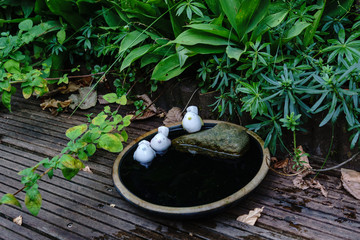 Vogeltränke im Garten