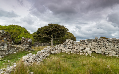 Old stone wall and building ruins in rural connemara, Republic of Ireland