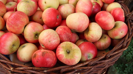 Apple In Basket. Local Fruit Market In Vienna Austria 