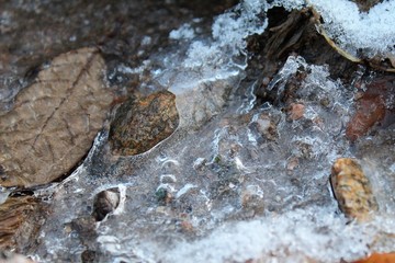 Le sol pris dans la glace