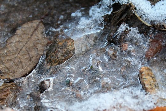 Le sol pris dans la glace