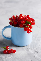 Redcurrant pile (ribes rubrum) blue cup blue napkin light background