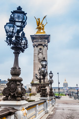 Fototapeta na wymiar The Pont Alexandre III in a freezing winter day in Paris