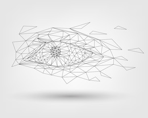 Fototapeta premium Wireframe human eye, vision, biometric recognition concept, technology and security