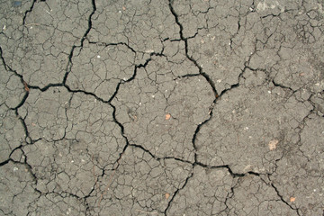 Dry cracked ground