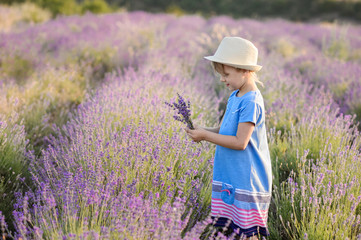 Beautiful girl in a field of lavender on sunset. Beautiful girl in amazing dress walk on the field of lavender.