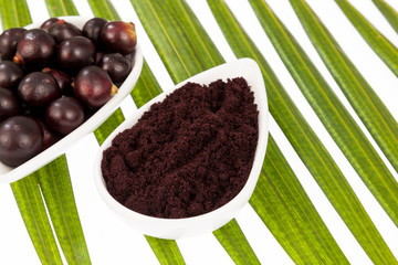 Fruit and acai powder - Euterpe oleracea