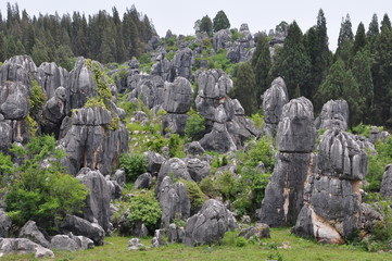 Stone Forest. Shilin Park, China