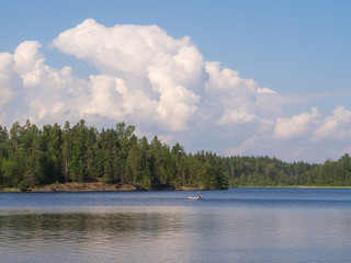 Obraz na płótnie Canvas summer landscape on the lake