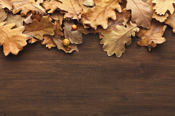 Naklejka na ściany i meble Fall oak leaves background, top view