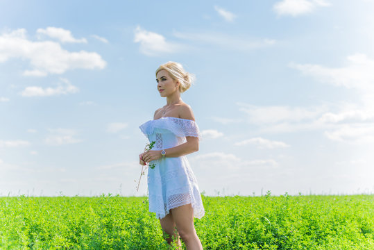 Freedom concept, romantic photo of woman in green field, evening sun, Beauty Romantic Girl in white dress Outdoors. Sunshine 