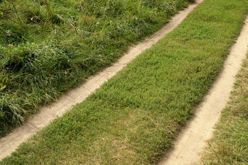Dirt  two paths road on the meadow. Diagonal.