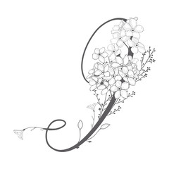 Vector Hand Drawn floral I monogram and logo