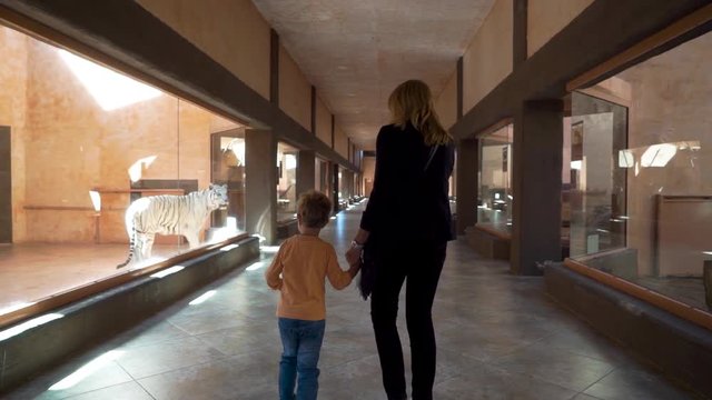 Mother and son walk in the zoo near cage of white tiger