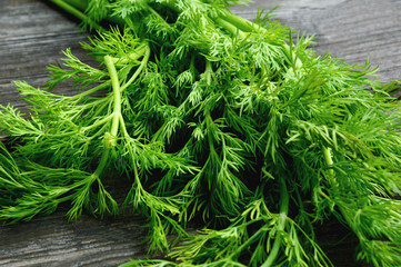 Fresh Dill on wooden background. Healthy and Benefit of Dill.