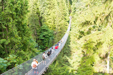 カナダ　バンクーバー　キャピラノ