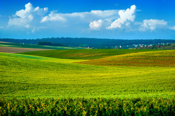 lines of the slopes of fields of agricultural crops