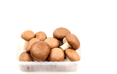 Agaricus bisporus or  portobello mushroom in plastic box on white background..healthy and benefits of brown mushroom.