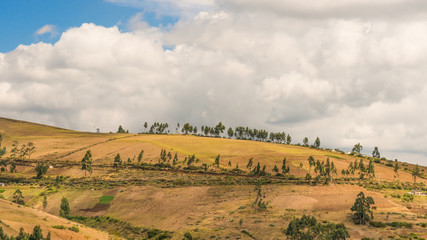 Fototapeta na wymiar panorama andino