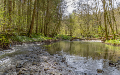 idyllic river at spring time