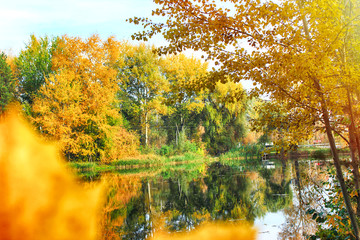 Colorful autumn forest backdrop with reflection in the river