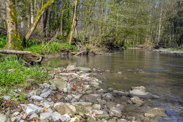 idyllic river at spring time
