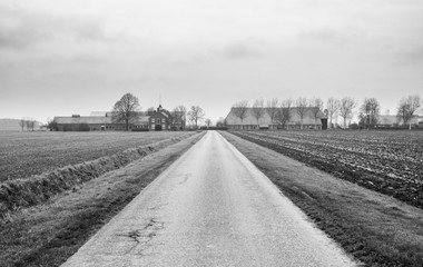 Black and white photo of a farm in the Groningen countryside.
