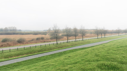 Fototapeta premium Windmill park in the mist in the Dutch province of Groningen