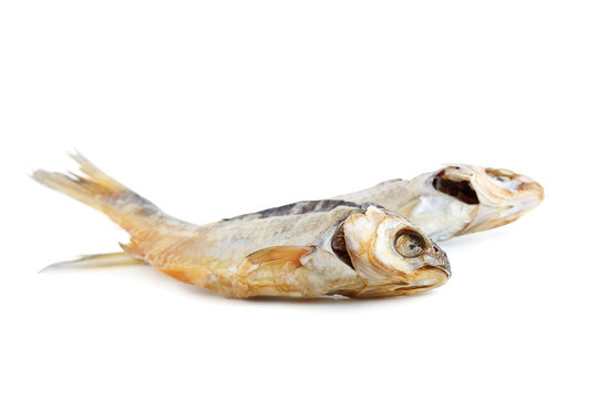 dried fish to beer on white background