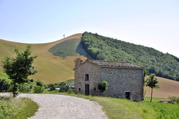 Fototapeta na wymiar italian green countryside